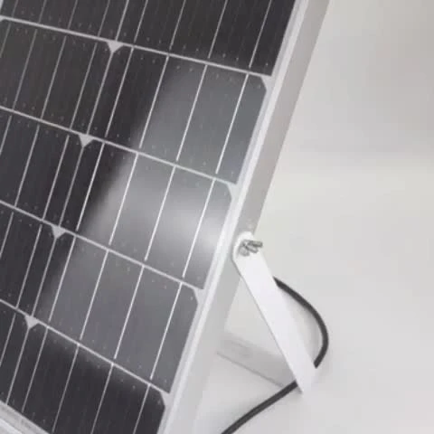 TUV SGS BV inspeccionó la luz de inundación solar de fábrica con control remoto inteligente de largo